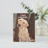 私には分からない。 ポストカード (スタンド正面)