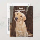 私には分からない。 ポストカード (正面/裏面)