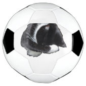 私にも無理にゃ サッカーボール (回転)
