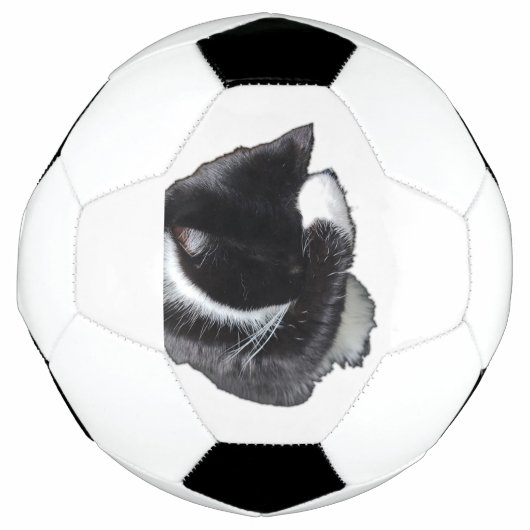 私にも無理にゃ サッカーボール (正面)