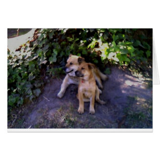 私によってがむしろある場所がありません