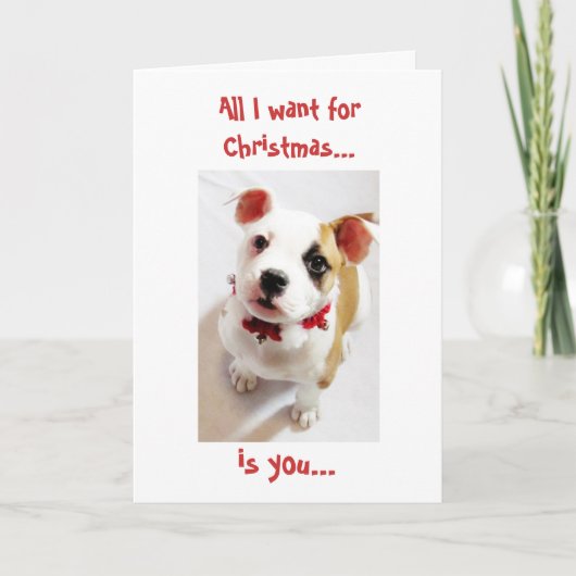 私によってがクリスマスのために…ほしいすべてはです シーズンカード (正面)
