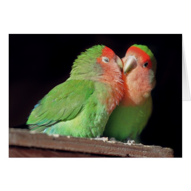 私にカード接吻して下さい (正面横)