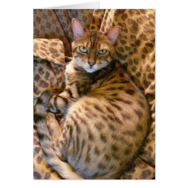 私に会って頂けまか。 (正面)