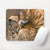 私に会って頂けまか。 マウスパッド (マウス)