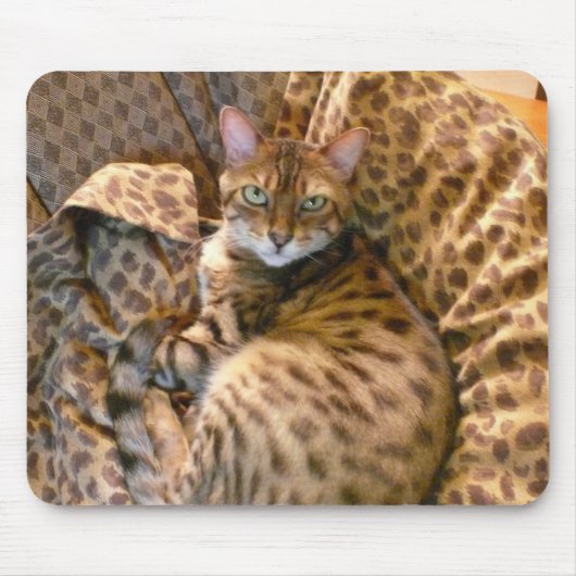 私に会って頂けまか。 マウスパッド (正面)