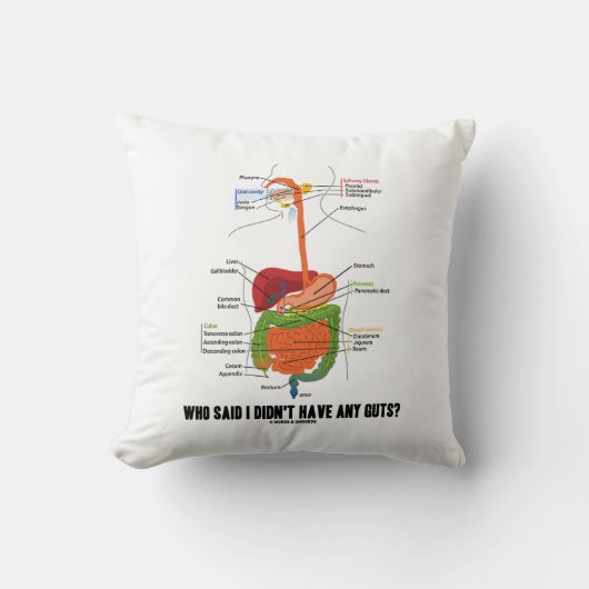 私に内臓がなかったことをだれが言いましたか。 消化系 クッション (正面)