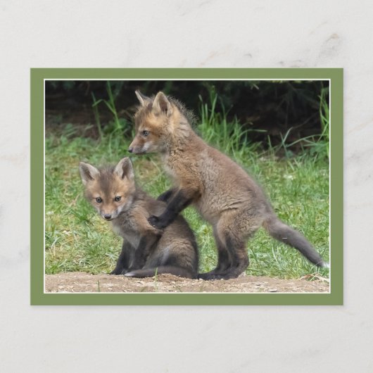 私に寄り掛かる ポストカード (正面)