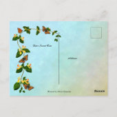 私に純粋なハート詩篇を作成51:10 ポストカード (裏面)