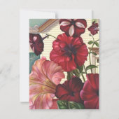 私に花によってが家へ帰る引っ越しましたの発表のペチュニアがあります 案内状 (正面)