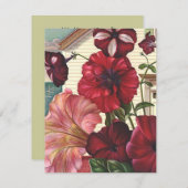 私に花によってが家へ帰る引っ越しましたの発表のペチュニアがあります 案内状 (正面/裏面)