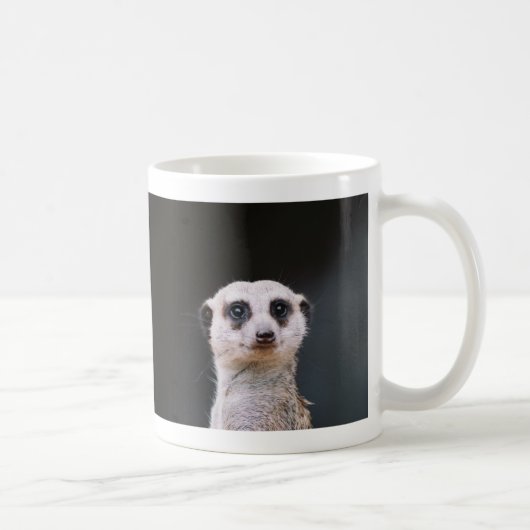 私に話していますか。 Meerkateのマグ コーヒーマグカップ (右)