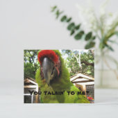 「私に話してくれるの?」 パロット、はがき ポストカード (スタンド正面)