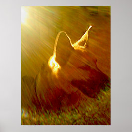 私に輝くドイツの羊飼い#1 ポスター