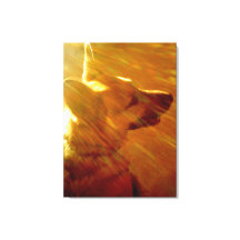 私に輝くドイツの羊飼い#2