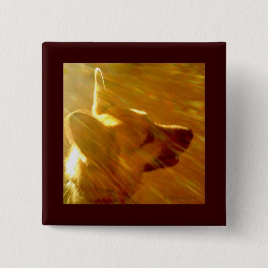 私に輝くドイツの羊飼い#2 缶バッジ (正面)