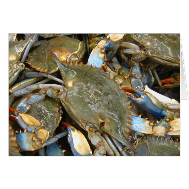 私に迷惑を掛けないで下さい…私がCrabbyの! (正面横)