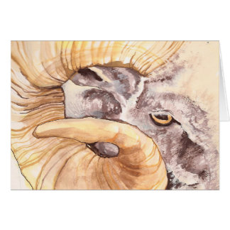 私に雌ヒツジの私の目があります