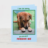 "私に"挨拶状を許して下さい カード (正面)