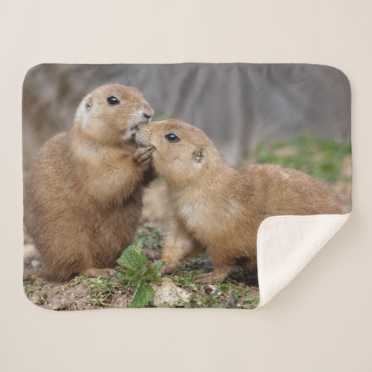 私にSherpa速い毛布接吻して下さい シェルパブランケット (正面(横))