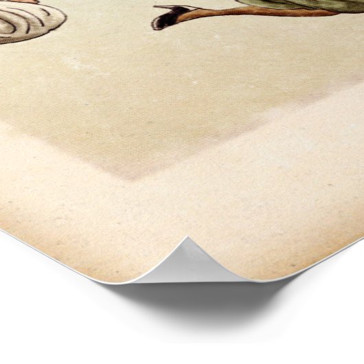 「私のいわゆる自己中心的な人生」映画ポスター – 枠なし ポスター (角)