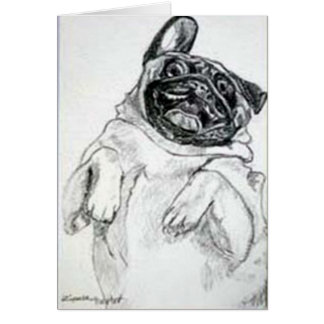 私のおなかを、くすぐって下さい