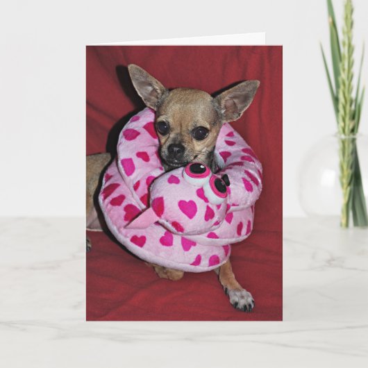 私のおもしろいなバレンタイン シーズンカード (正面)