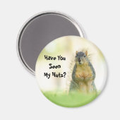 私のおもしろいナッツ・リス・マグネットを見たか？ マグネット (正面/裏面)