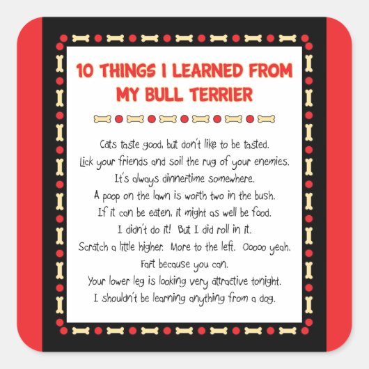 私のおもしろいブル学テリアーから来た事 スクエアシール (正面)