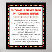 私のおもしろいヨーク学シャーテリアから来た事 ポスター (正面)