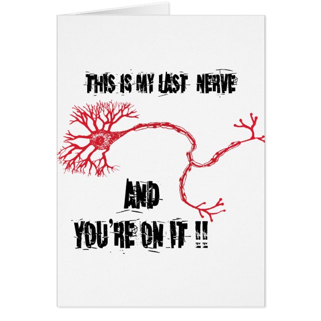 私のおもしろい最後の神経 (正面)