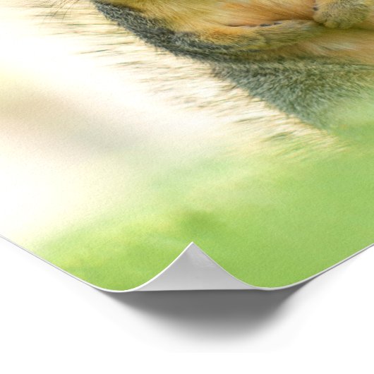 私のおもしろい木の実のリスのポスターを見たか ポスター (角)