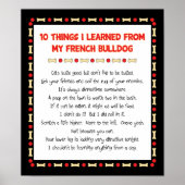 私のおもしろい牛学のから出たフランスのこと ポスター (正面)