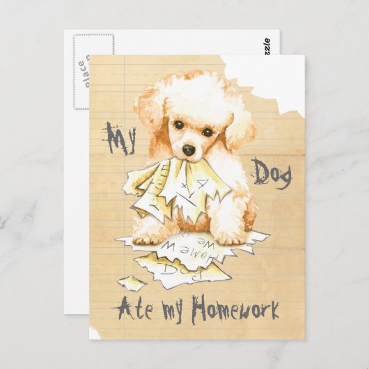 私のおもちゃ食べが宿題を出す ポストカード (正面/裏面)