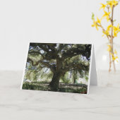 私のお気に入りのなオークの木 カード (黄色い花)