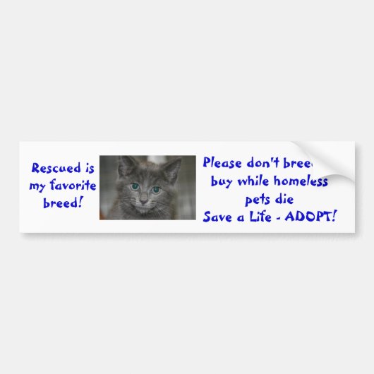 私のお気に入りのな品種は繁殖しませんでしたりまたは買いません…救助されます バンパーステッカー (正面)
