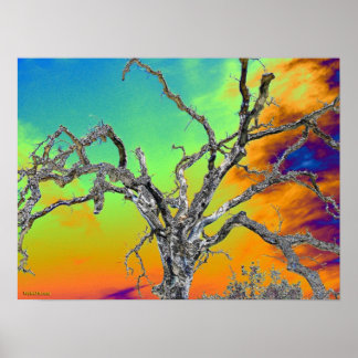 私のお気に入りのサイケデリック木 ポスター