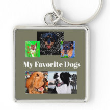 私のお気に入りの犬は自分の5つの場所を作成