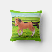 私のお気に入りの馬 クッション (正面)