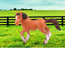 私のお気に入りの馬