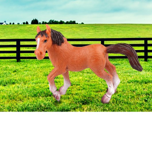 私のお気に入りの馬 Tシャツ