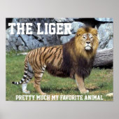 私のかわいらし動物のお気に入りのポスター ポスター (正面)