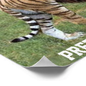 私のかわいらし動物のお気に入りのポスター ポスター (角)