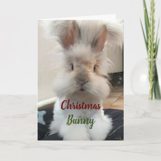 **私のはちみつにクリスマスバニー」 シーズンカード (正面)