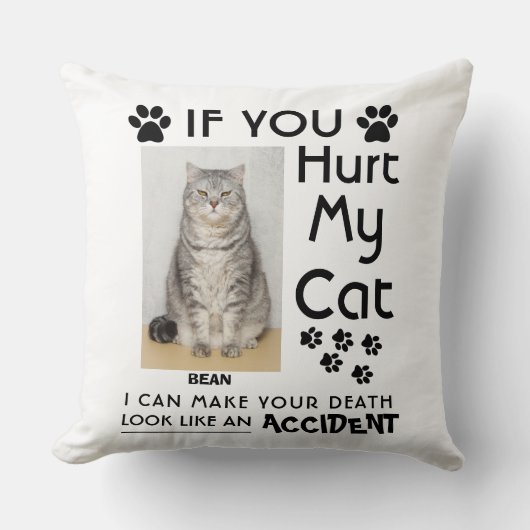 私のもし猫を傷つけたら、死ぬまで足を踏ませられる クッション (正面)