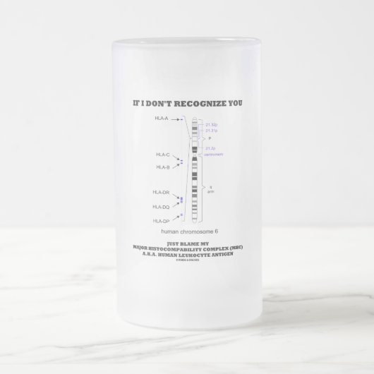 私のもしMHC生物学を非難しているとは思わない フロストグラスビールジョッキ (中央)