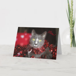 「私のものだ！」 カード