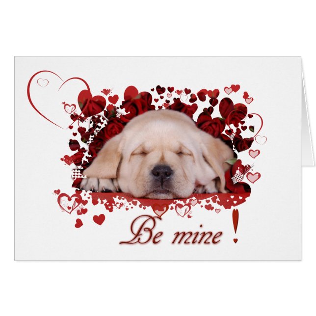 私のものになる (正面横)