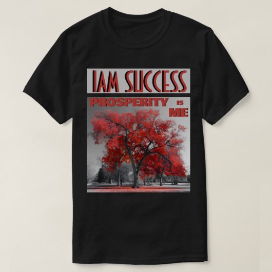 私のものは成功 Tシャツ (デザイン正面)