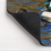 私のアヒルを連れて行く:4つのバッファヘッド マウスパッド (コーナー)